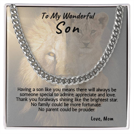 To My Wonderful Son Necklace