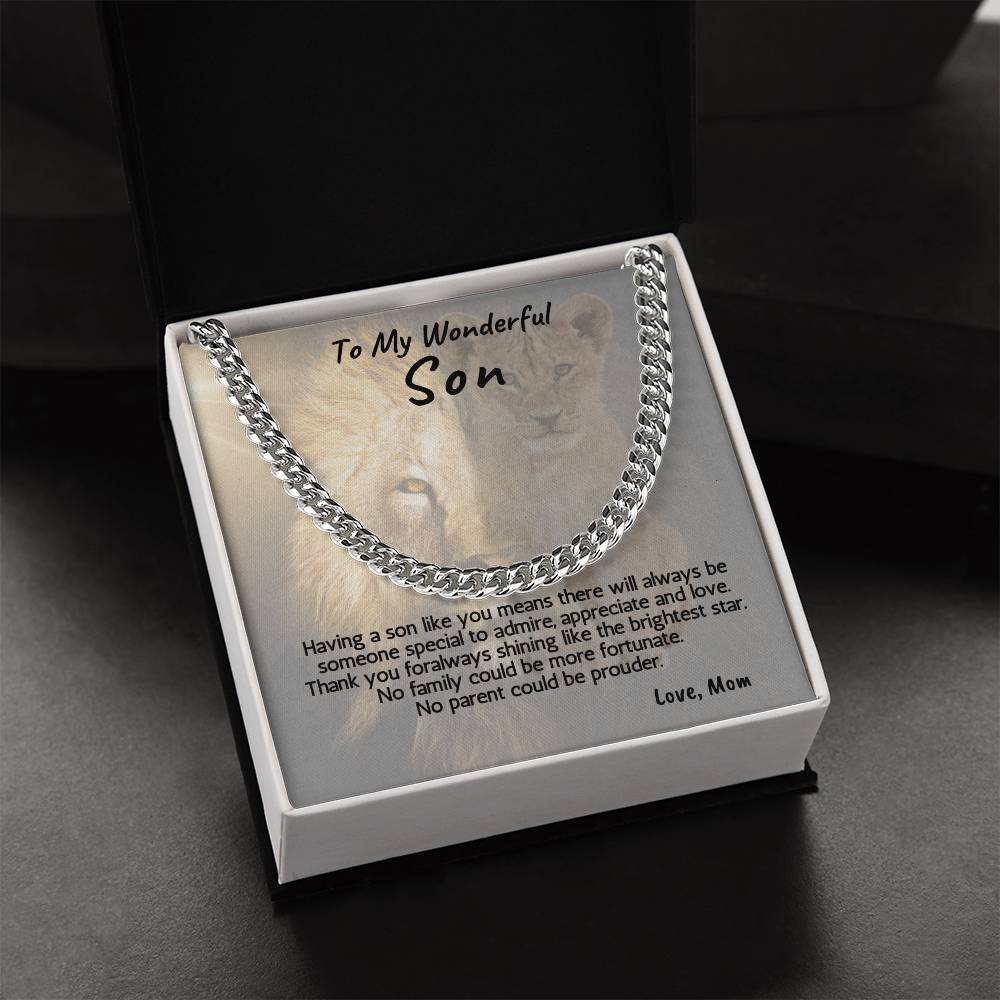 To My Wonderful Son Necklace